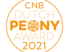 Highlighted image: Wie wint de CNB Dutch Peony Award 2021?